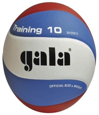 Волейболна топка GALA Training 10 - BV 5561 S