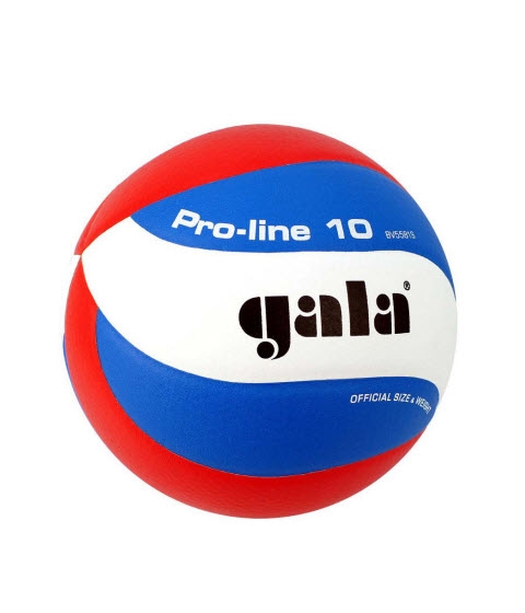 Волейболна топка GALA Pro Line - BV 5821 S